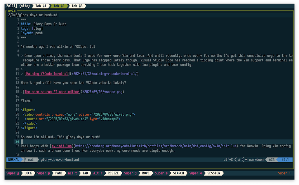 Screenshot of neovim editing this blog post. The text displayed is the same as the text preceding this image.
