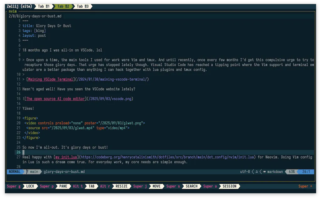 Screenshot of neovim editing this blog post. The text displayed is the same as the text preceding this image.