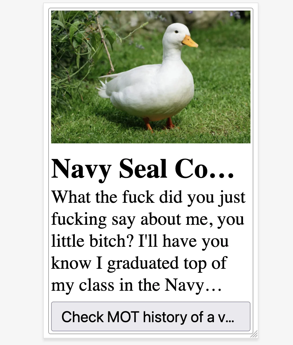 
    Duck photo.
    Heading reads 'Navy Seal Co…'.
    Paragraph reads 'What the fuck did you just fucking say about me, you little bitch? I'll have you know I graduated top of my class in the Navy…'
    Button reads 'Check MOT history of a v…'
  